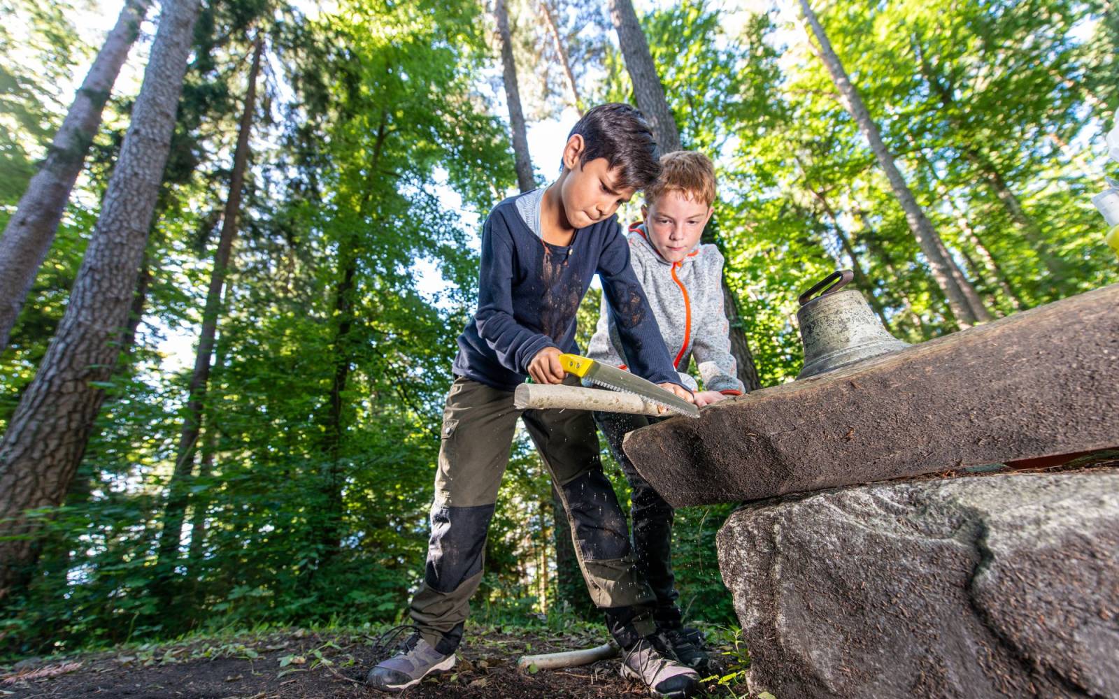 Zwei Jungen sägen einen an einem Stock im Wald, Schweiz.