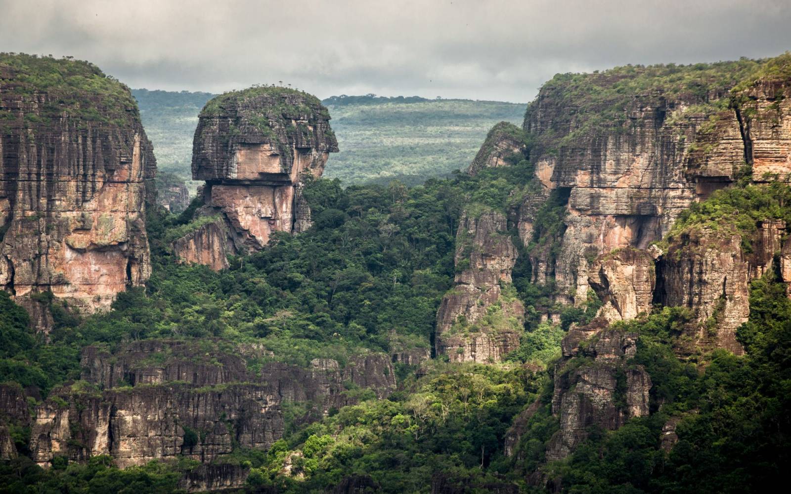 Tepui im Chiribiquete Nationalpark, Amazonas, Kolumbien