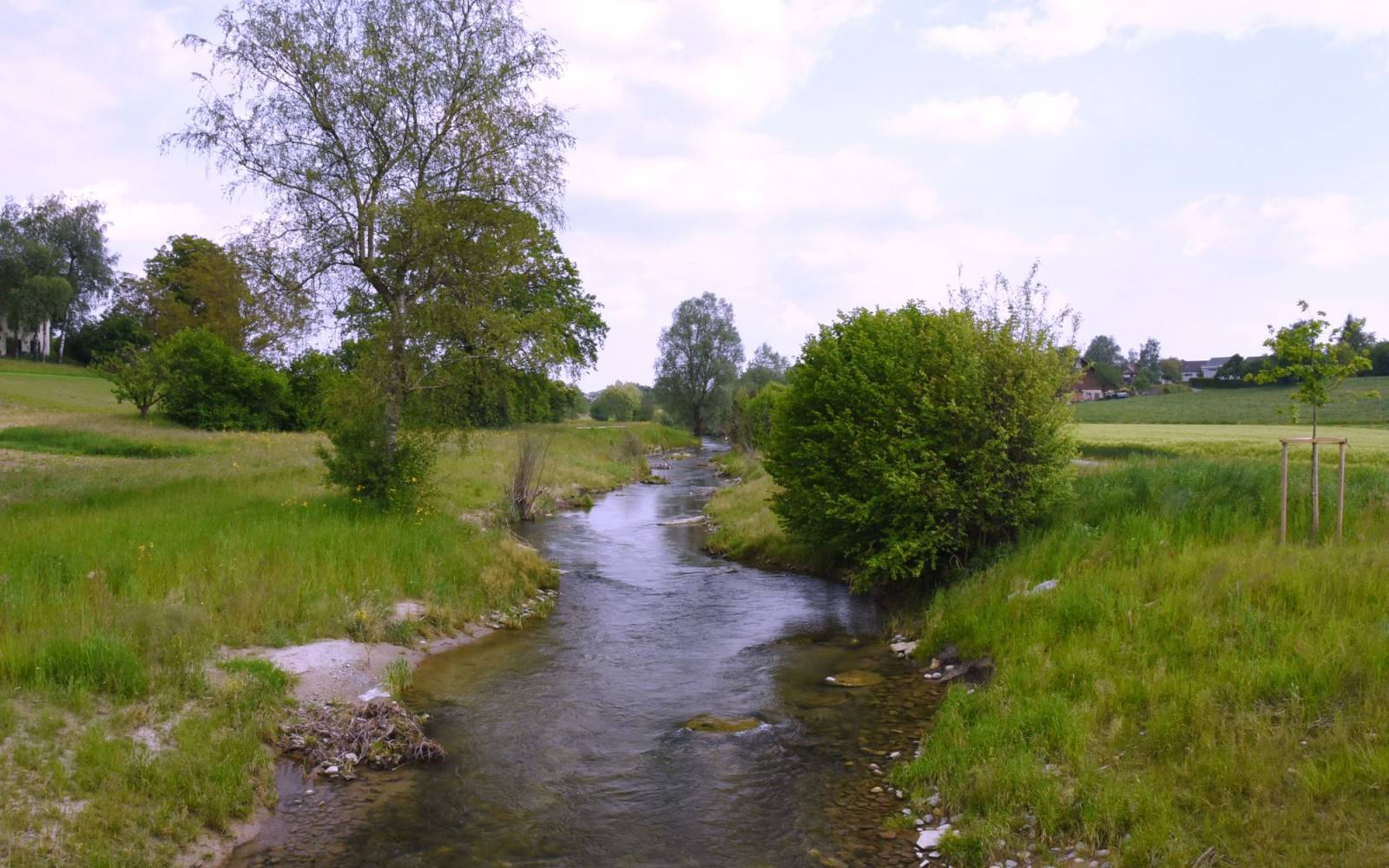 renaturalised river in Switzerland