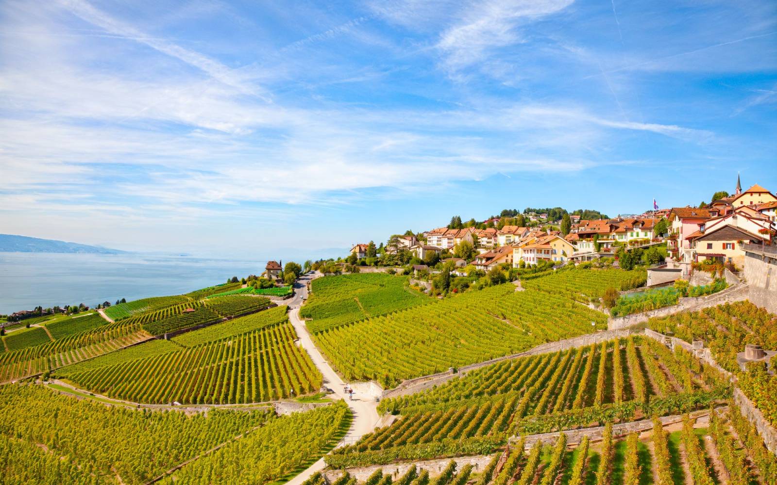 Lavaux KI-Bild heute