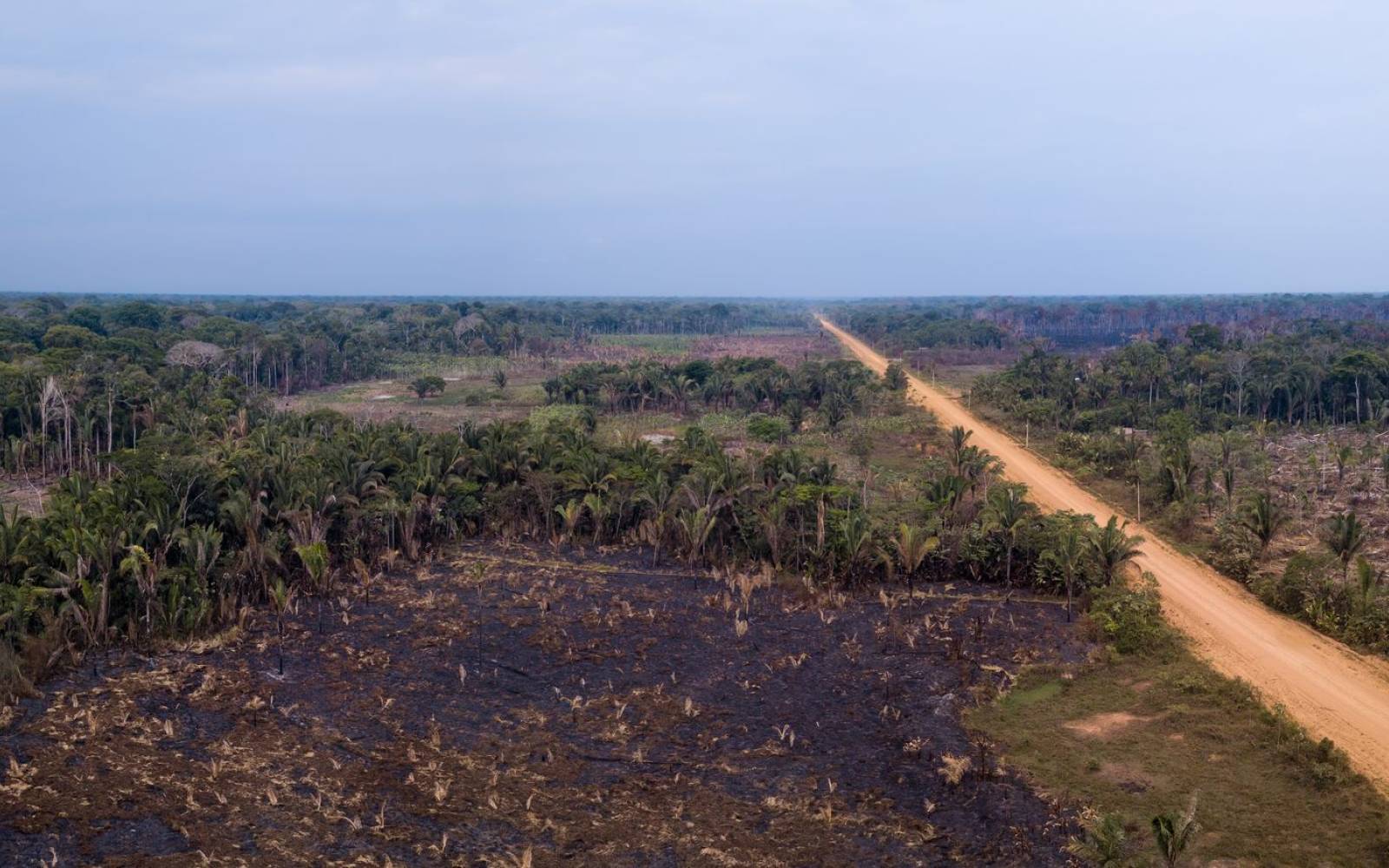 aerial view of deforested rain forest Brazil