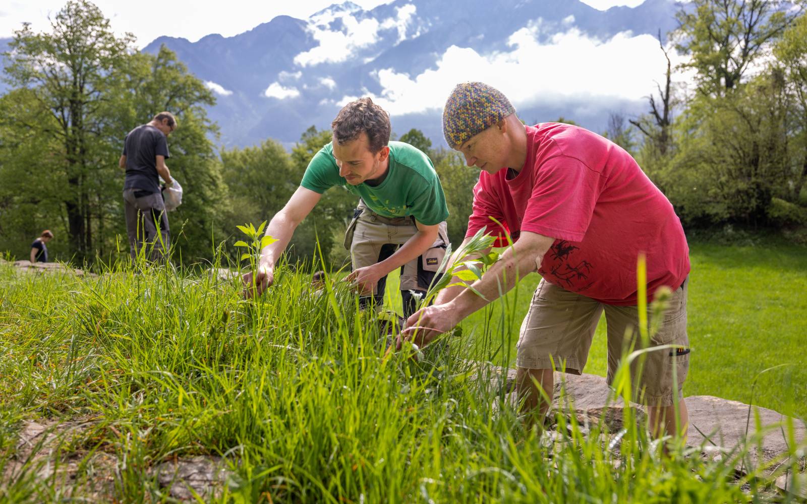 Zwei Personen arbeiten im Feld in Haldenstein