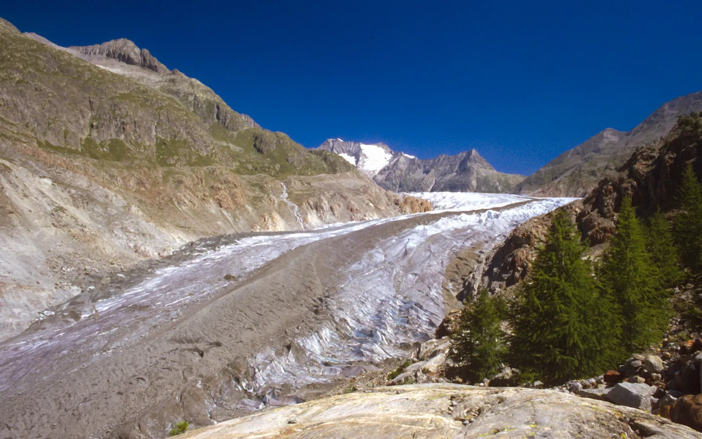 aletsch glacier in the canton wallis switzerland
