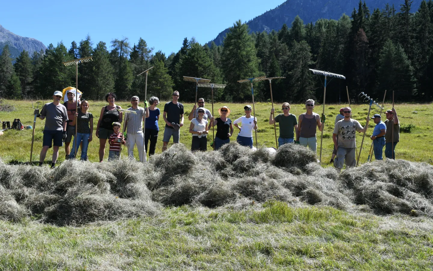 Le travail bénévole, les sections cantonales du WWF, Engadin