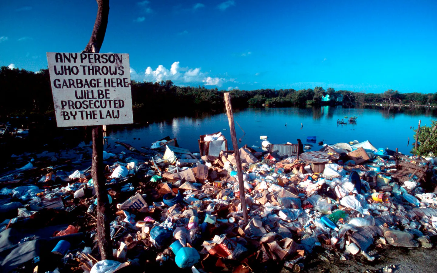 Plastiverschmutzung eines Küstenabschnitts in Belize