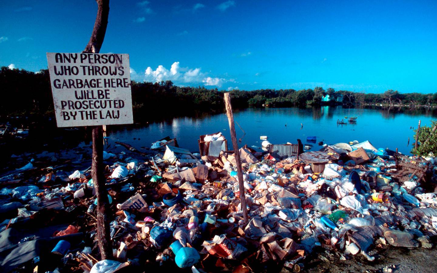 Plastiverschmutzung eines Küstenabschnitts in Belize