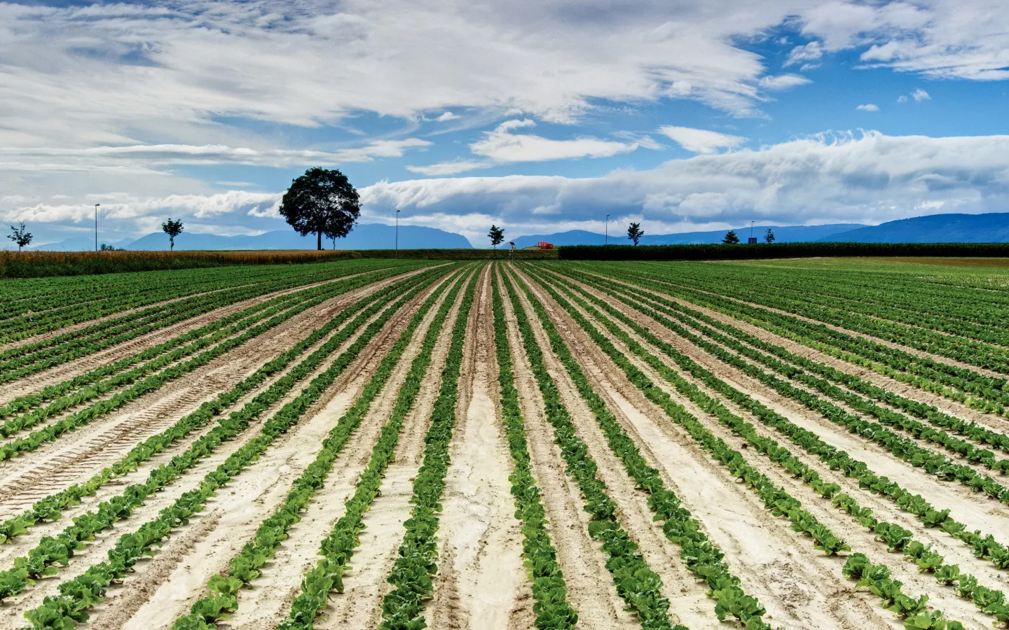 rapport de l'OCDE a confirmé que l'agriculture suisse a causé d'importants problèmes environnementaux