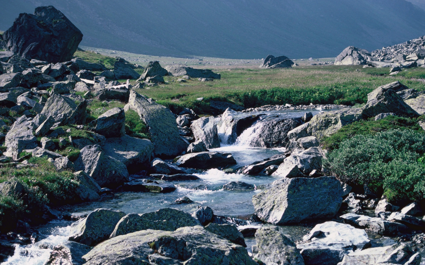 Schweizer Fluss Areuabach