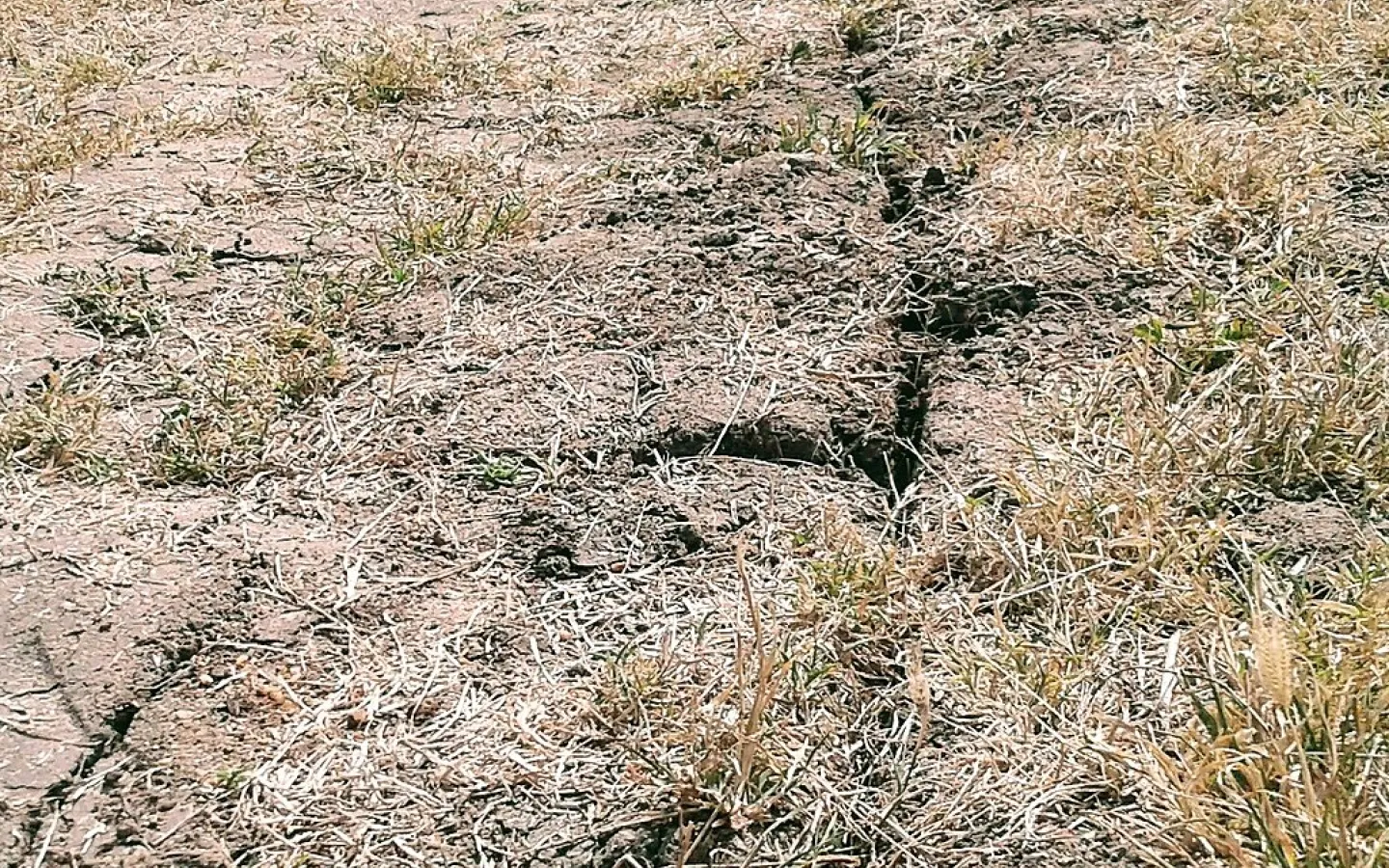 Dry Field