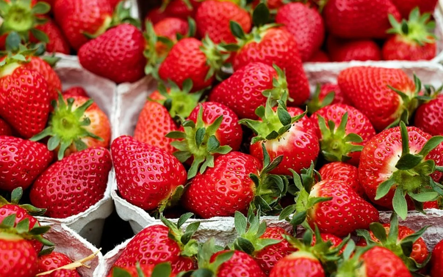 Erdbeeren