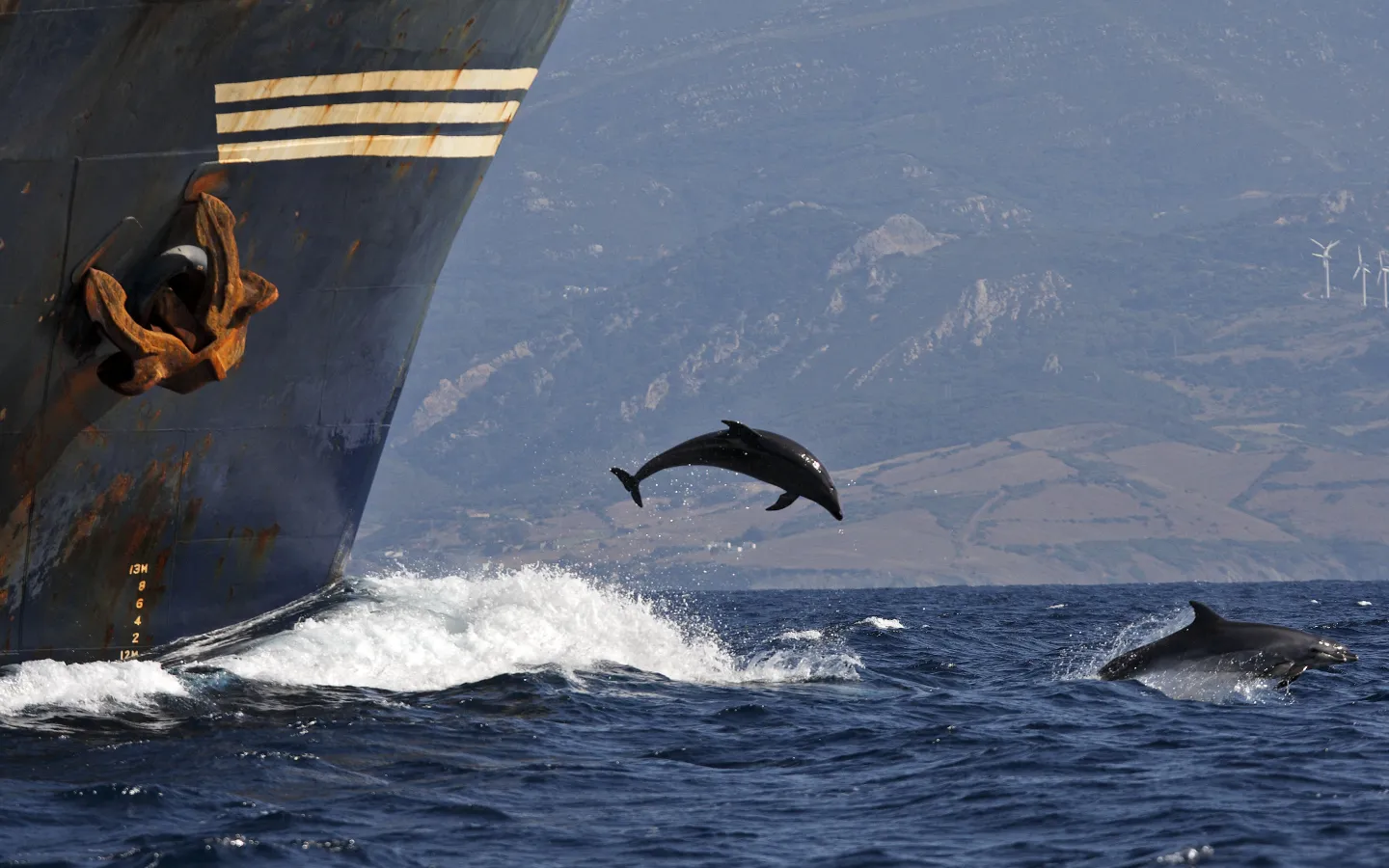 Strasse von Gibraltar