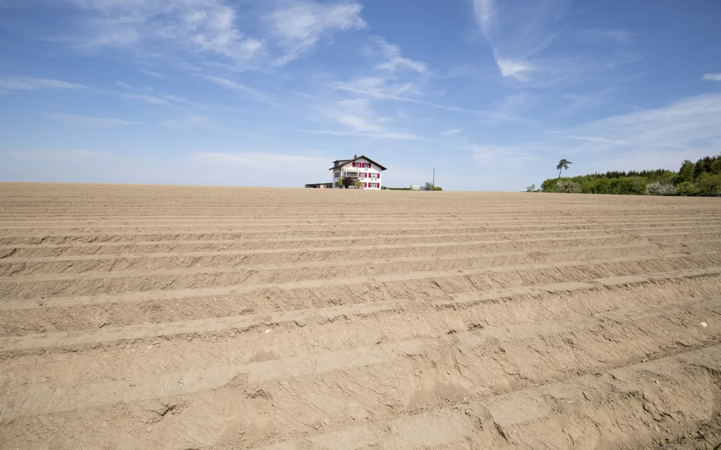 Bauernhaus in trockenem Feld