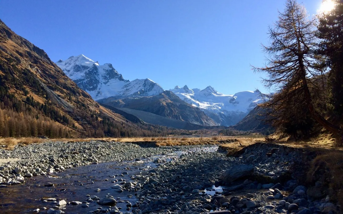 Aue im Val Roseg