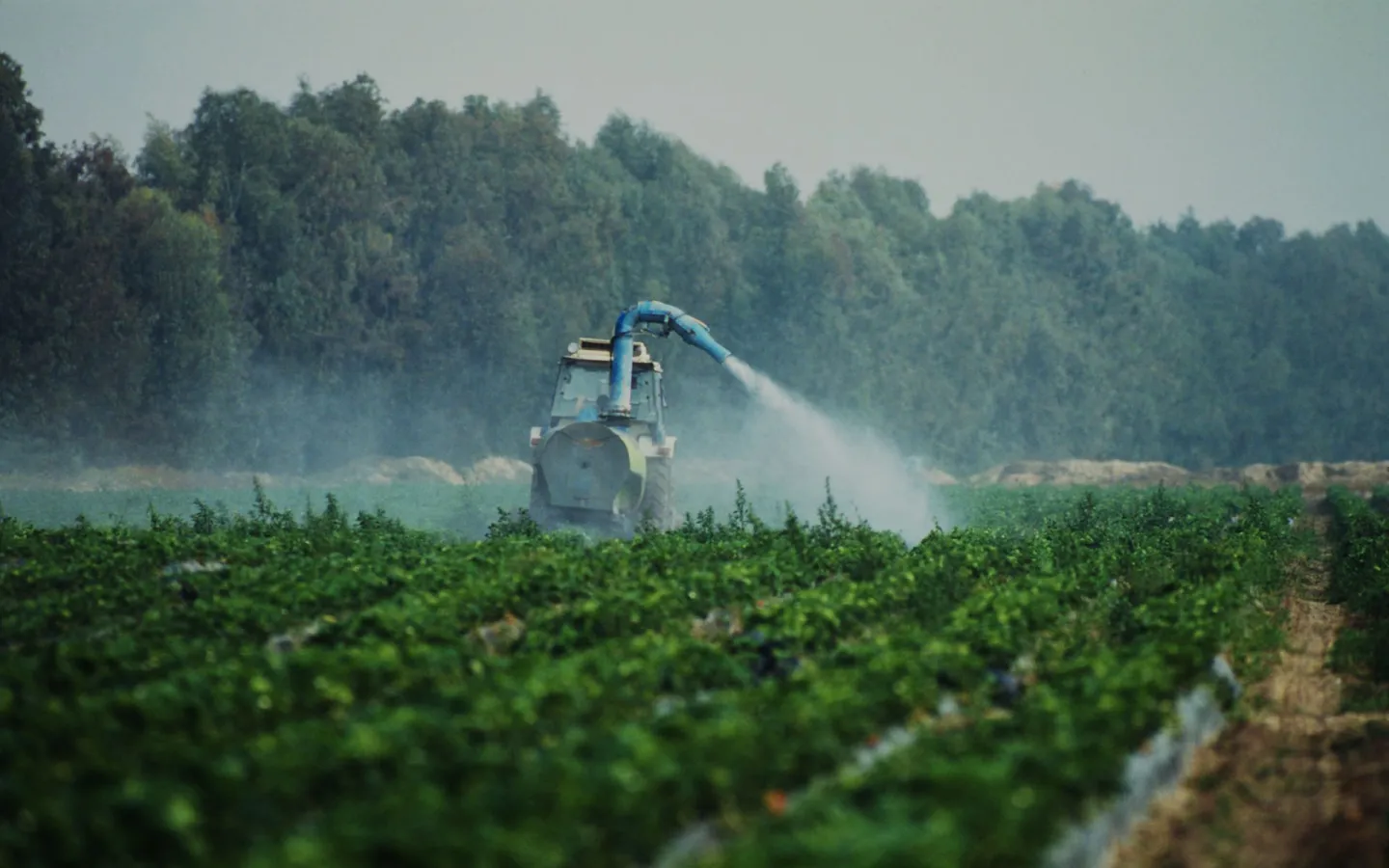 Traktor beim versptühen von Pestiziden