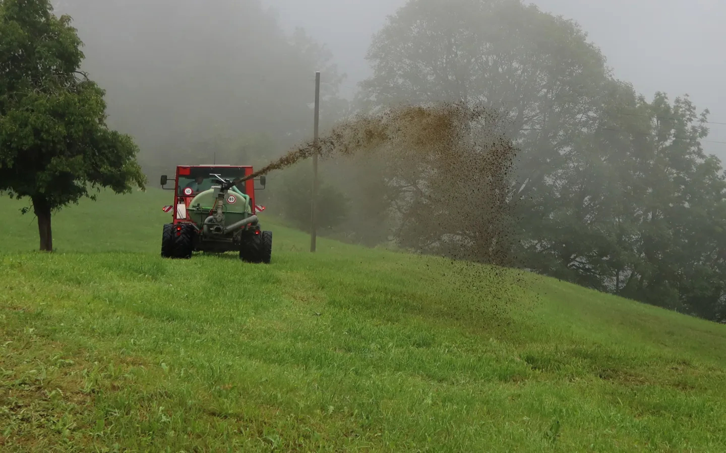 Landwirtschaft