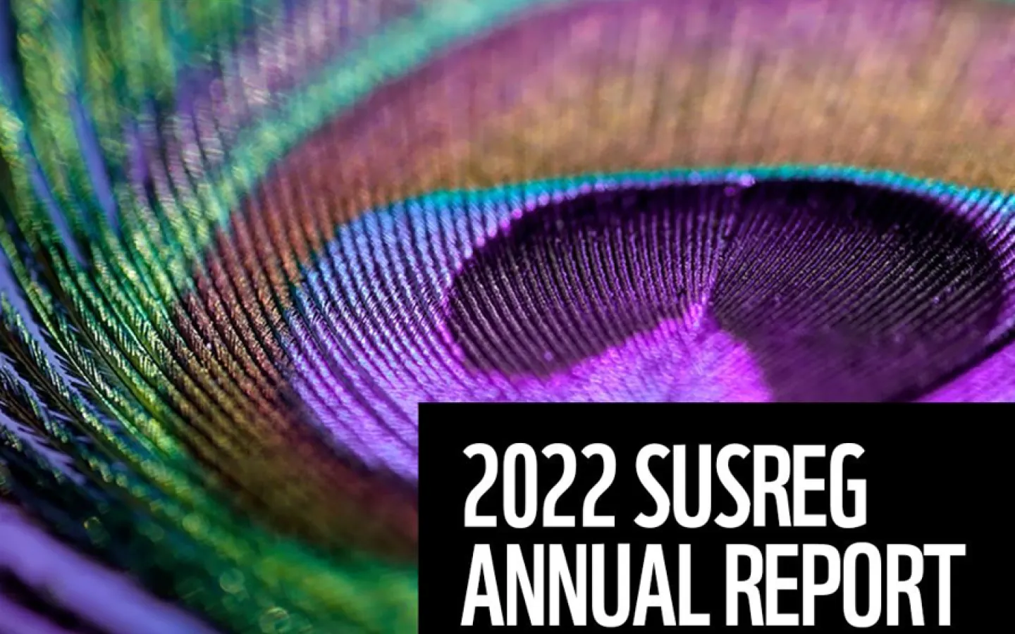 SUSREG REport 2022 Cover_2