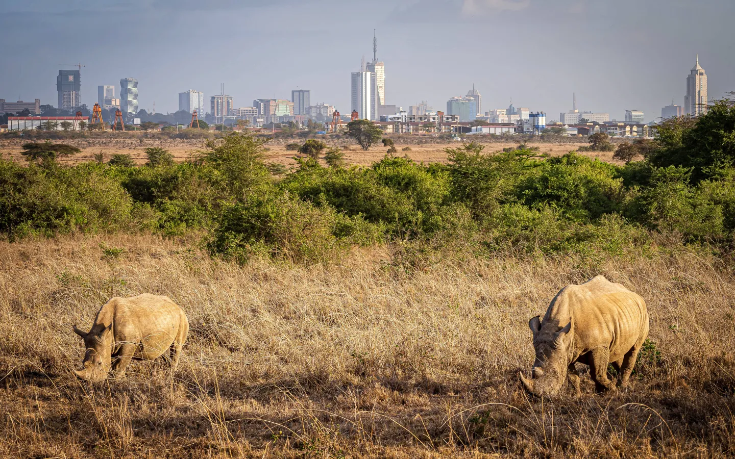 Wirtschaft und WWF