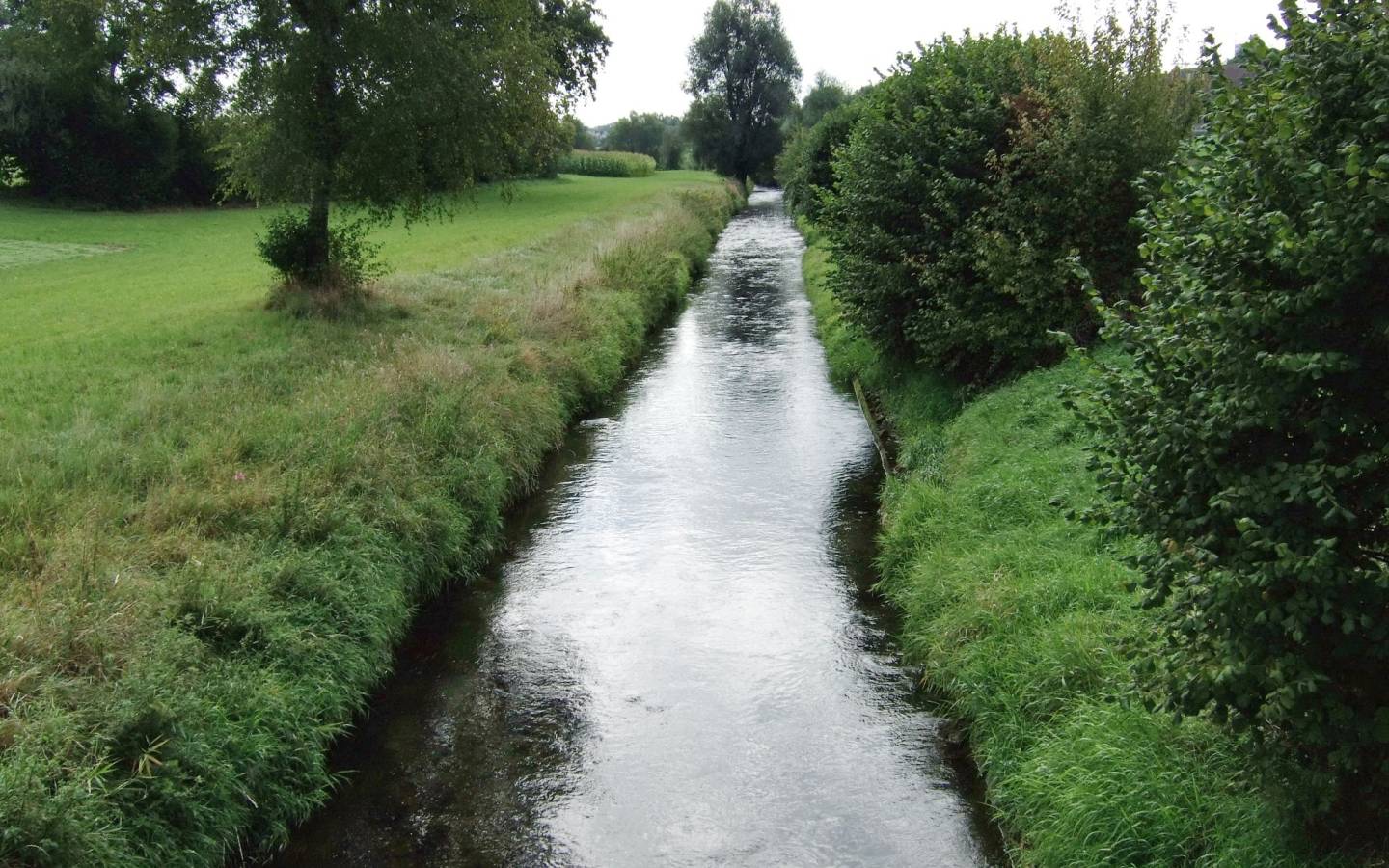 river before renaturalistion in Switzerland