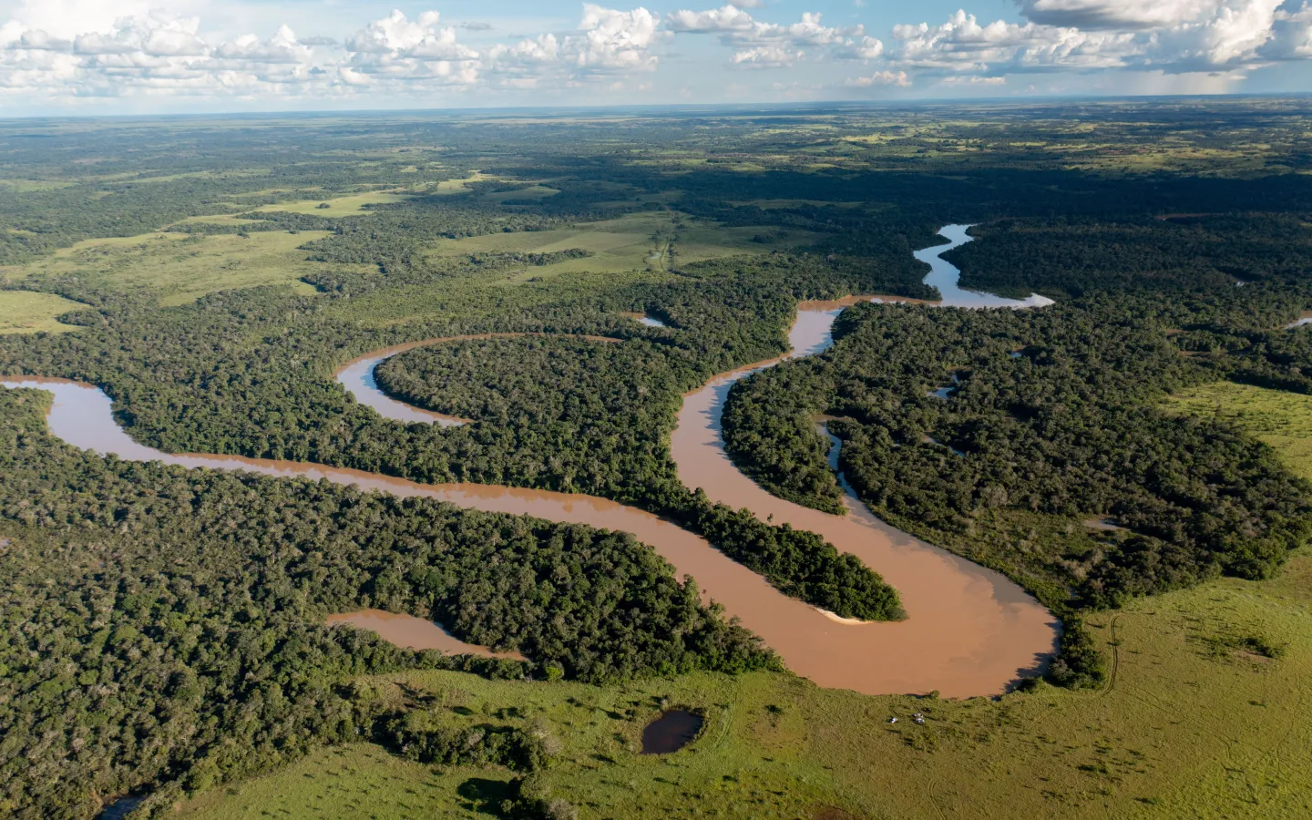 Fluss schlängelt sich durch Südamerikanischen Wald