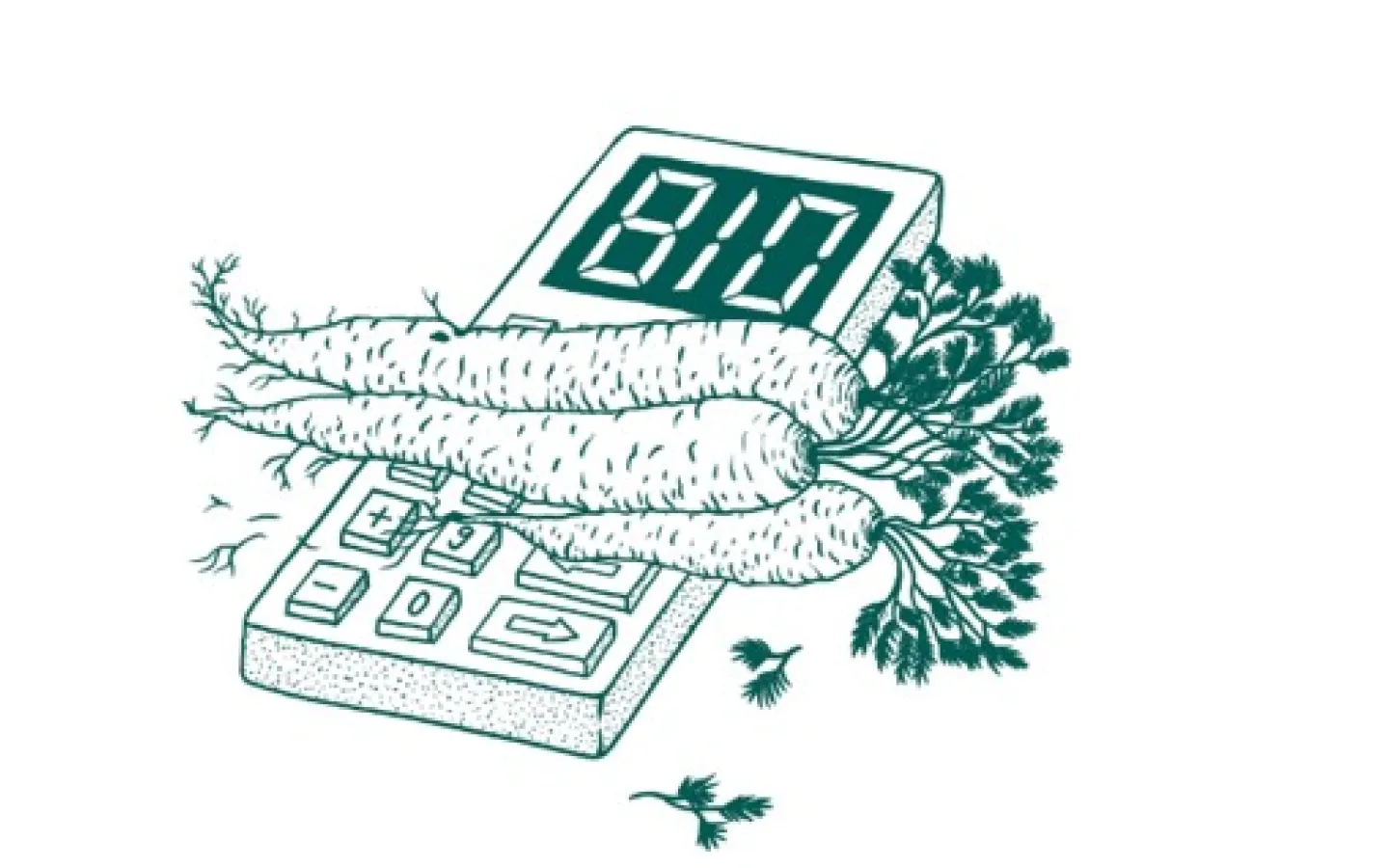 carrots on a calculator