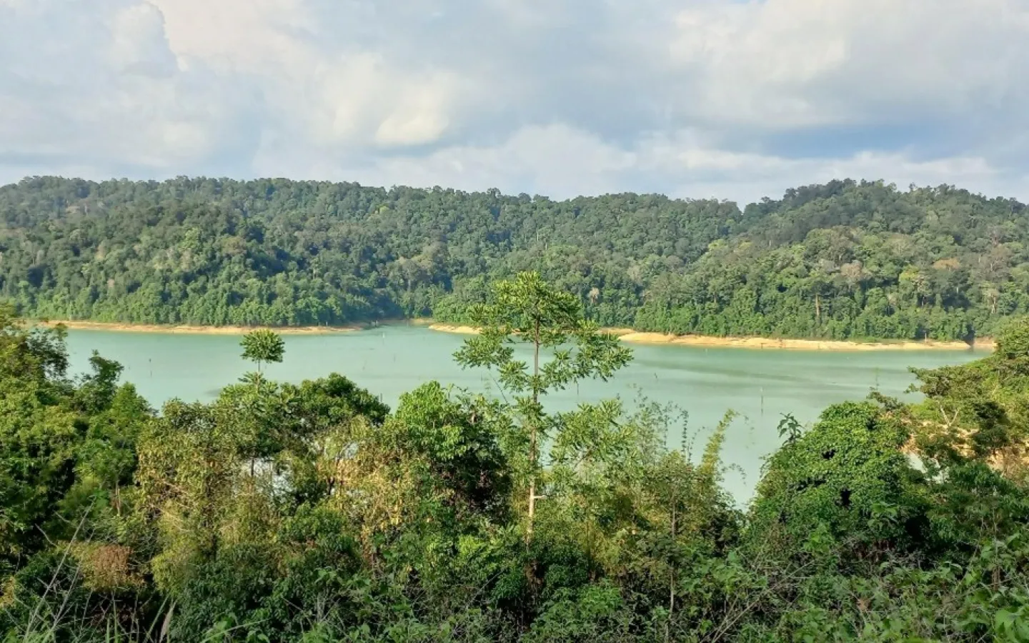 Pedu lake