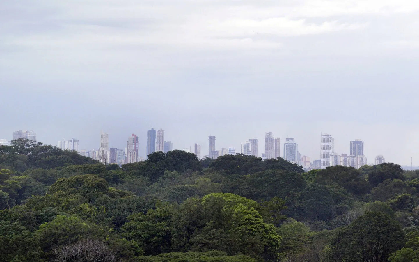 Blick auf die Stadt Belém und den Amazonas-Regenwald im Norden Brasiliens