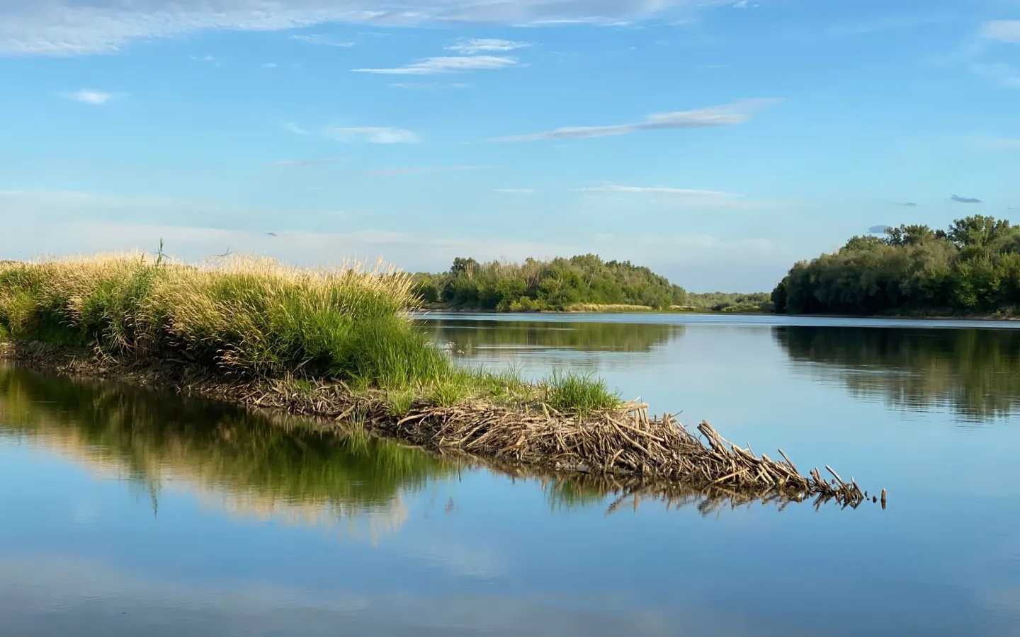 A beautiful shot of the grassy shore of the Vistula river in Poland 