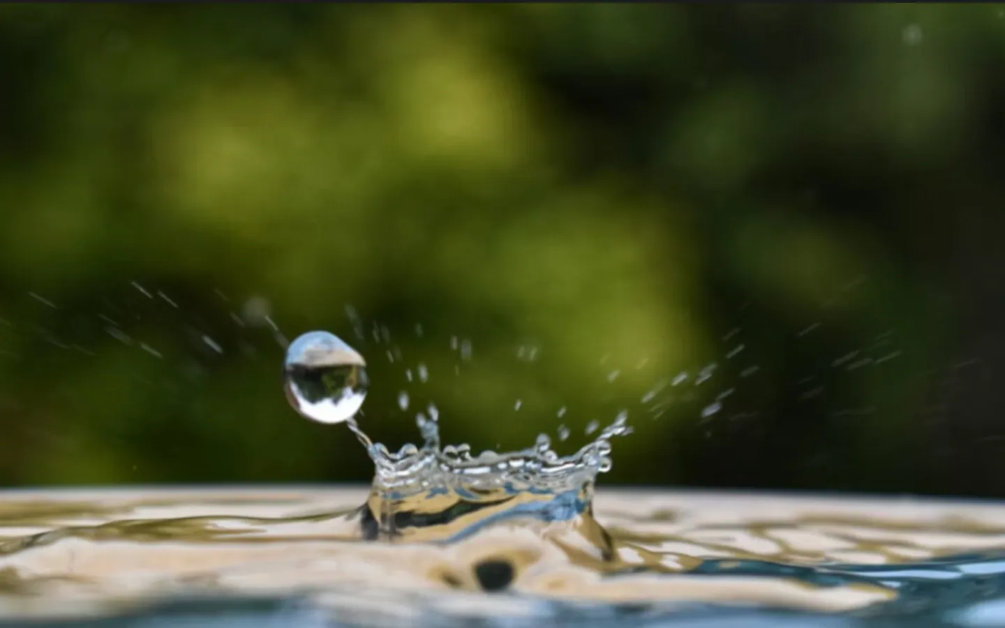 Water hand