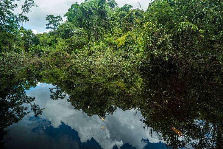 Amazonas in Kolumbien