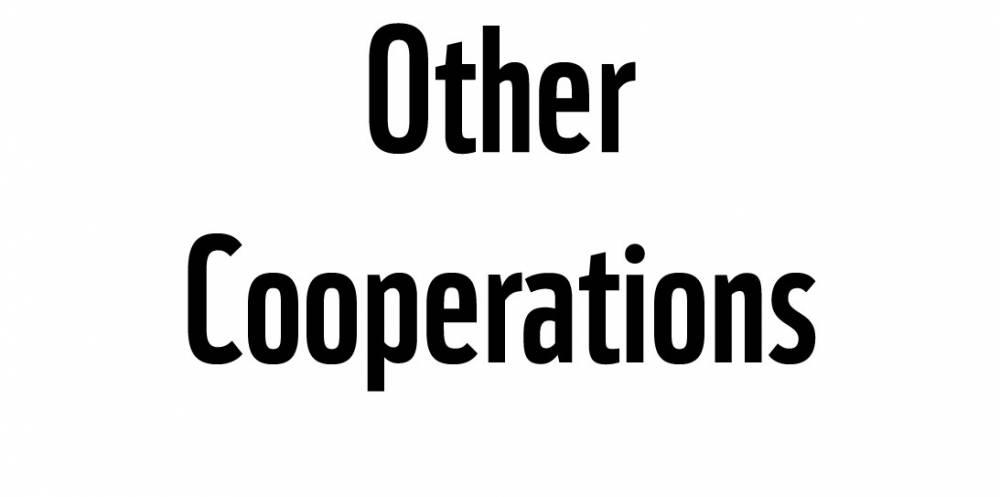 Other Cooperations