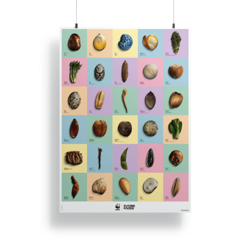 1420.60 WWF Poster «Future Foods»