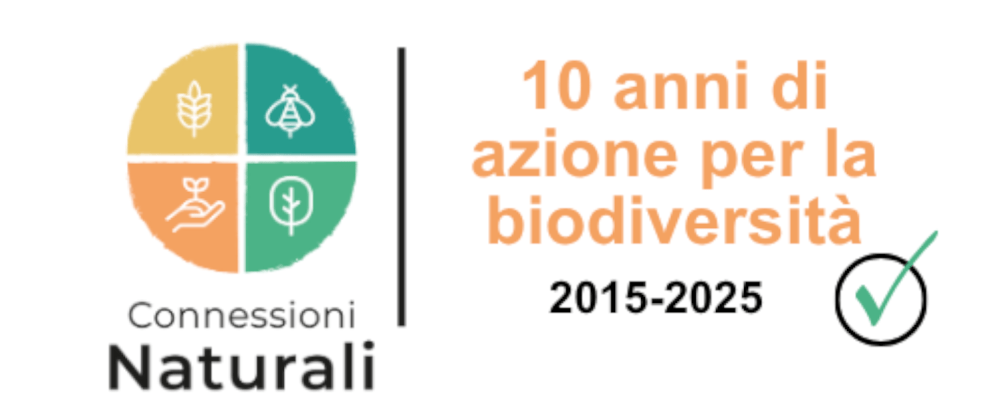Logo 10 ans Connexions Naturelles - Natur verbindet - Connessioni naturali