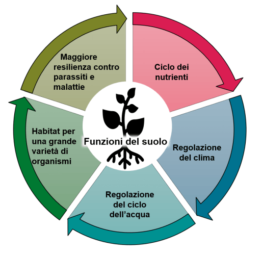 Infografik Funktionen des Bodens gesunde Böden