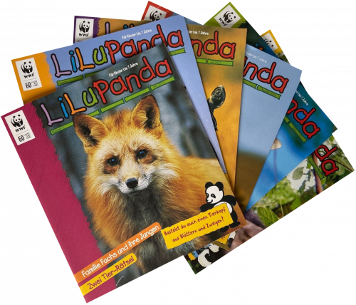Lilu Panda Kinderhefte