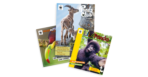 Kindermagazine Fächer 