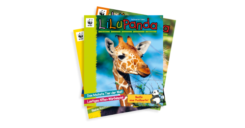 Lilu Panda Fächer