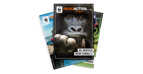Pandaction Fächer