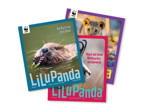 Drei LiLu Panda Magazine
