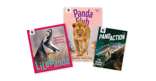 WWF-Magazinfaecher-Kinder
