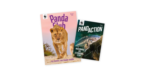 WWF-Magazinfaecher-Kinder