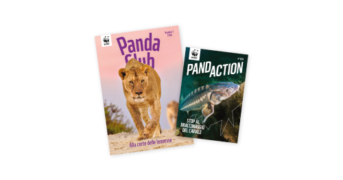 WWF-Magazinfaecher-Kinder-IT