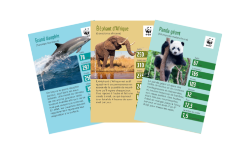 Porte-cartes avec trois cartes SuperPanda