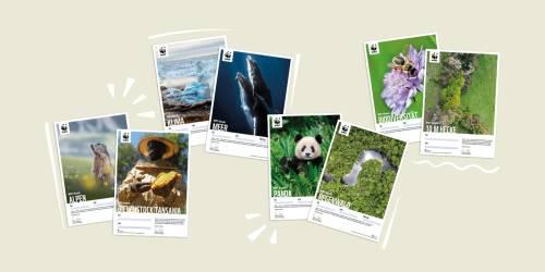 Header Shop Weihnachtskampagne Urkunde 