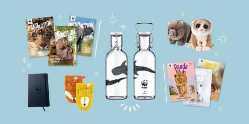 Header Shop Weihnachtskampagne