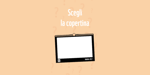 Kalendervoting Teaser-Shop 2025