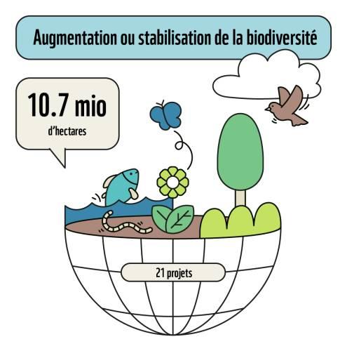 Erhöhung oder Stabilisierung der Biodiversität