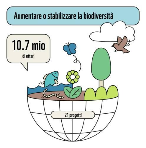 Erhöhung oder Stabilisierung der Biodiversität