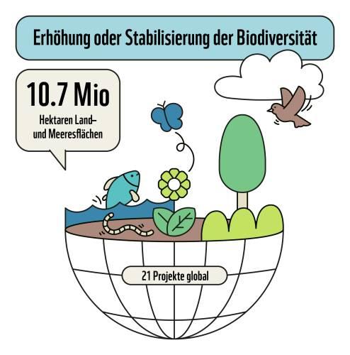 Erhöhung oder Stabilisierung der Biodiversität