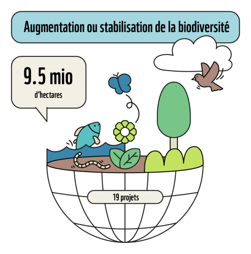 Erhöhung oder Stabilisierung der Biodiversität