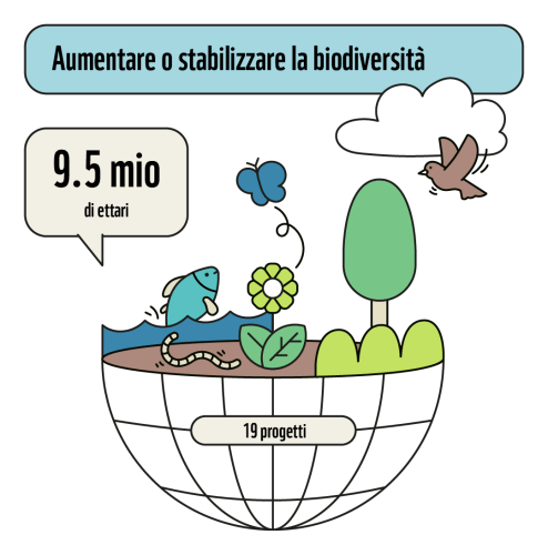 Erhöhung oder Stabilisierung der Biodiversität
